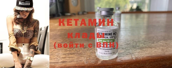стаф Дмитриев