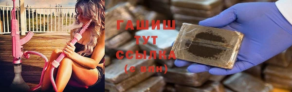 стаф Дмитриев
