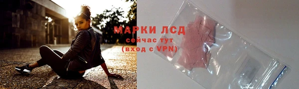стаф Дмитриев