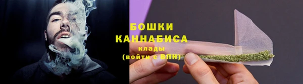 стаф Дмитриев