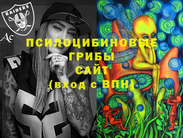 spice Дмитровск