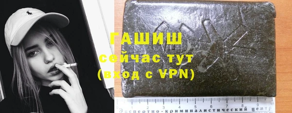 стаф Дмитриев