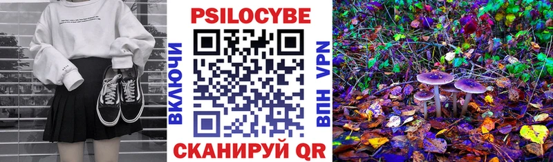 Галлюциногенные грибы прущие грибы  Купить закладки  Троицк 